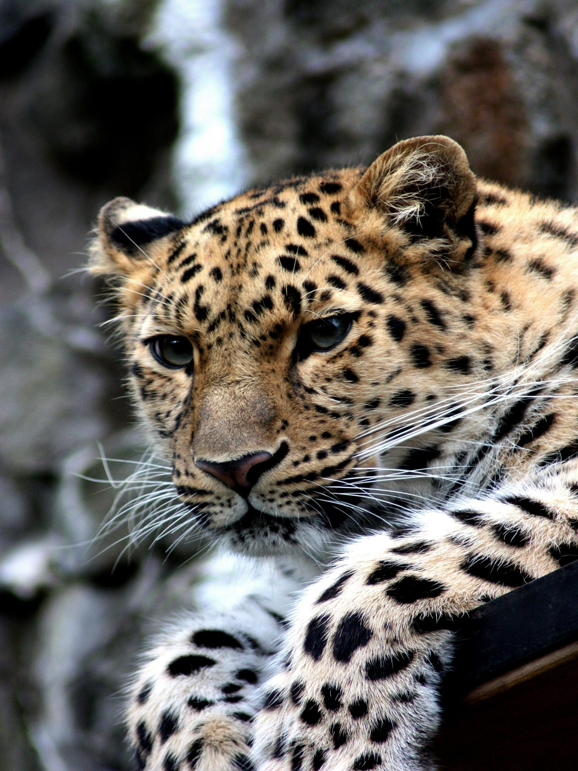 Adventutre and Wildlife 02