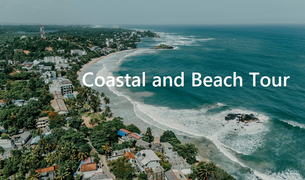 Coastal Toute Main image