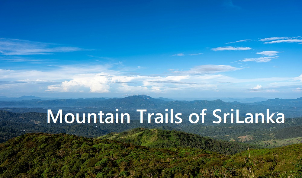 Moutain Trails Main